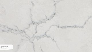 7540 Calacatta Concorde
