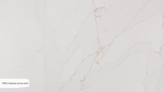 7550H Calacatta Cannes Gold